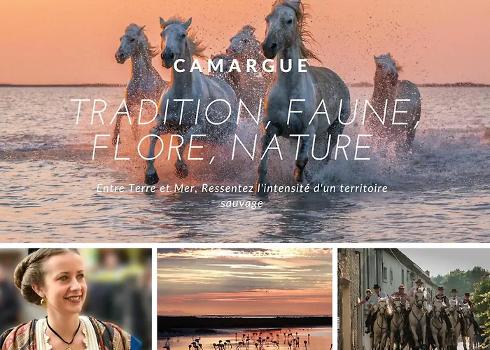 Apartamento Nid Marin Clim Wifi Proche Lit 140 *